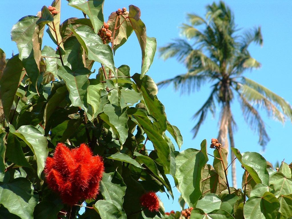 Princess Salme Inn Zanzibar Dış mekan fotoğraf